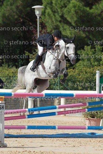 DE VINCENZI_SIRE_GIO CAV 2011_(0782) SS3_1890.jpg